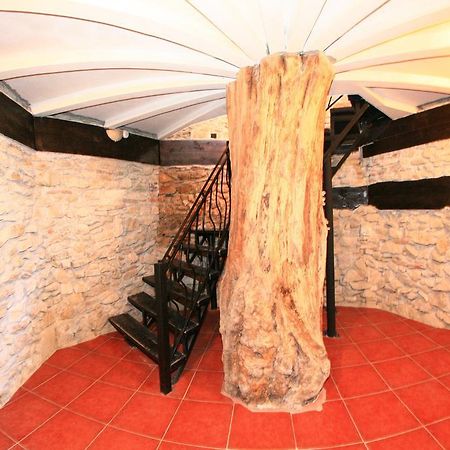 Castelul Lupilor 호텔 Chimindia 외부 사진