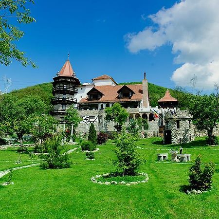 Castelul Lupilor 호텔 Chimindia 외부 사진