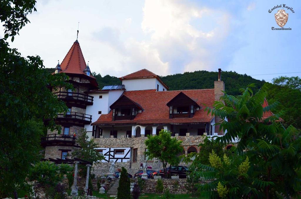 Castelul Lupilor 호텔 Chimindia 외부 사진