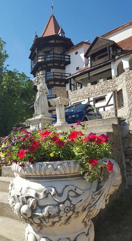 Castelul Lupilor 호텔 Chimindia 외부 사진